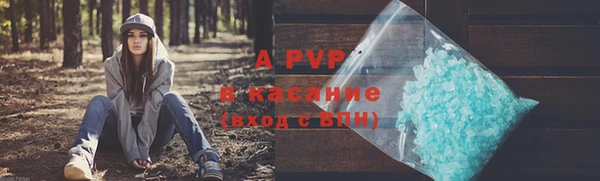 СК Богородск