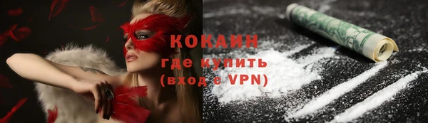 apvp Богородицк