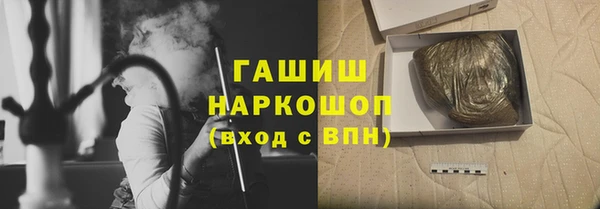 дмт Бородино