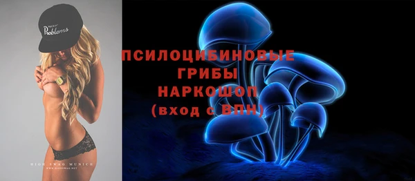 СК Богородск
