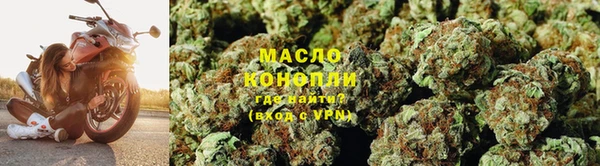 дмт Бородино