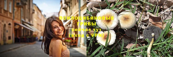 apvp Богородицк