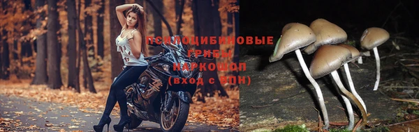 кокаин VHQ Богданович