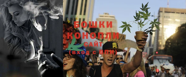 apvp Богородицк